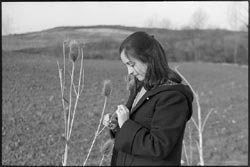 Tarde de marzo, 1978