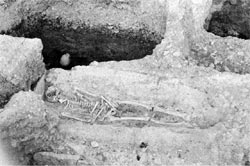 Vidas perpendiculares