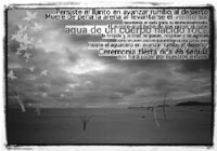 The only Bush I trust is my own