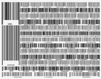 The only Bush I trust is my own