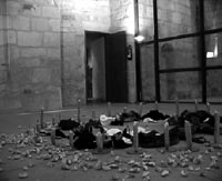 The only Bush I trust is my own