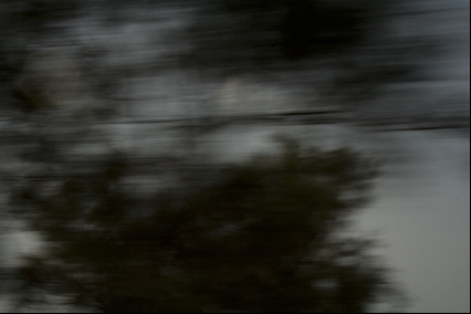 Estudios de representación de movimiento