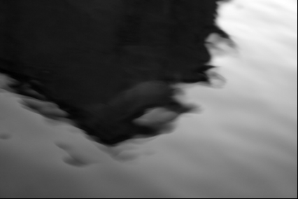 Estudios de representación de movimiento