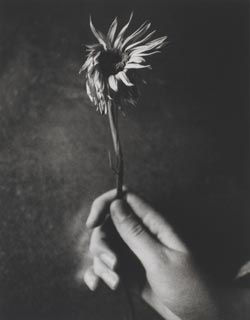 Written Portrait. Patti Smith