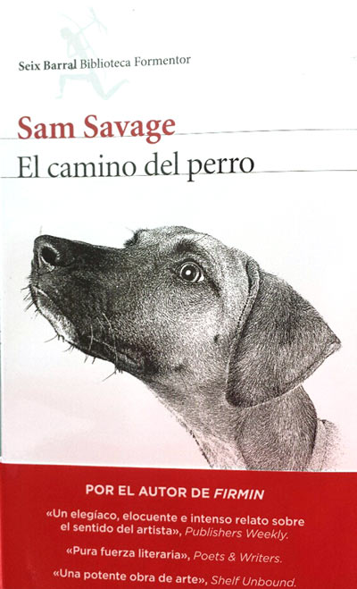 el camino de los perros