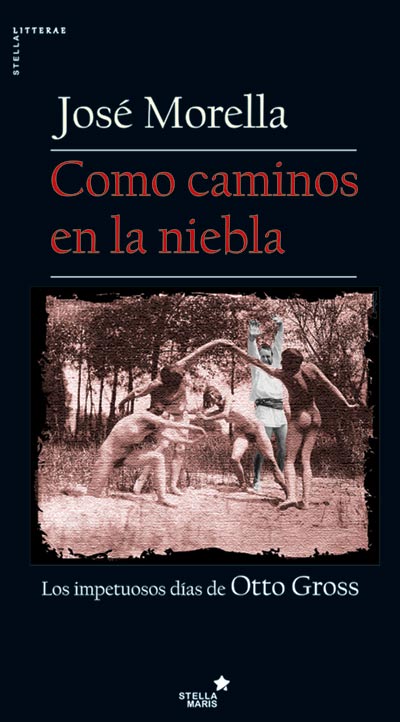 como caminos en la niebla