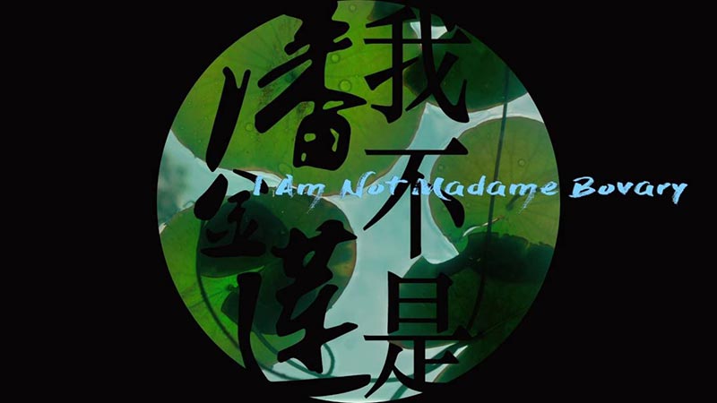 im not madame bobary