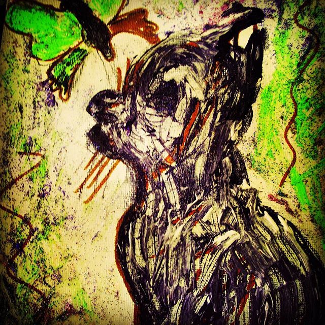 Gato-mariposa-Alamar